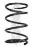 SPIDAN 55303 Coil Spring